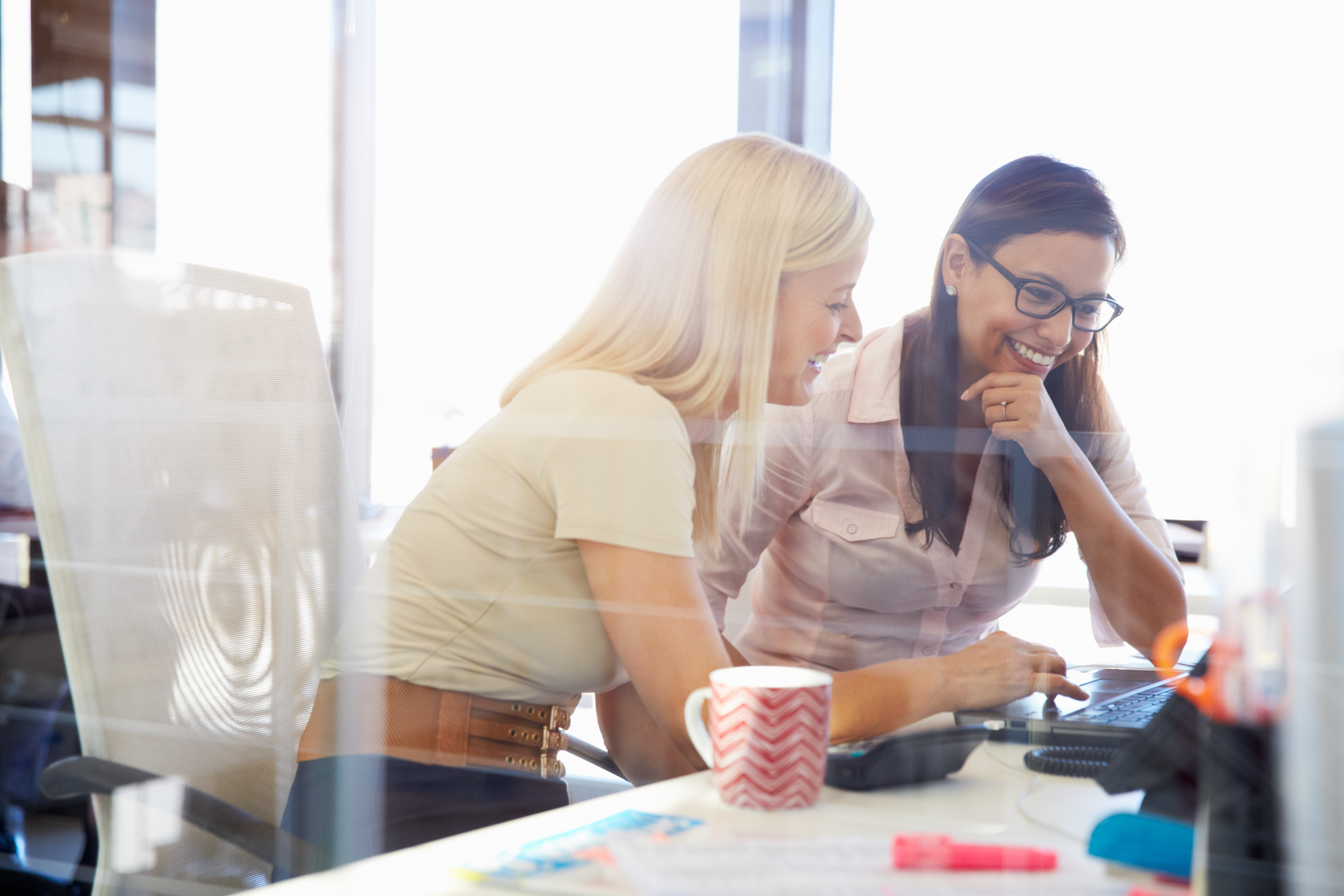 DEVELOPING PROFESSIONAL PROGRAM